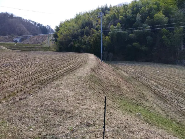 業界歴10年以上の森林関係者！ご要望の範囲で草刈りを行います！サービスの画像