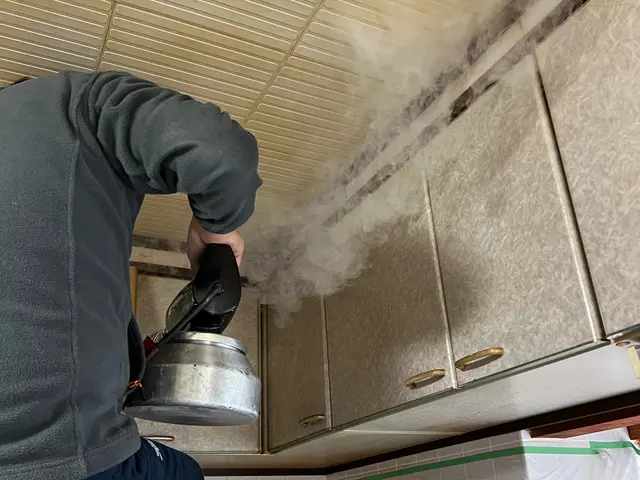 ネズミ駆除及び侵入対策サービスの画像