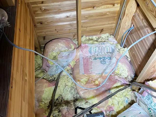 ネズミ駆除及び侵入対策サービスの画像