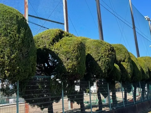 丁寧なコミュニケーションで、お客様の理想のお庭づくりをしっかりサポートします。サービスの画像