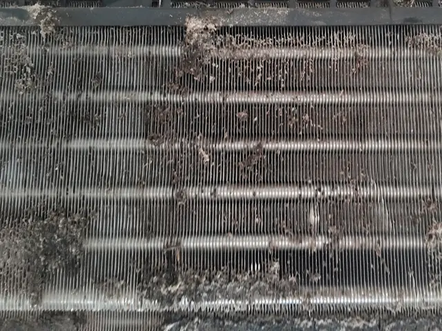 ★エアコンって大事ですよね！★お掃除好きがお伺いします！サービスの画像