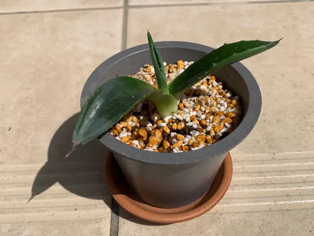 ◆千葉市発◆営業時間外も対応いたします◆女性スタッフ同行可能！サービスの画像