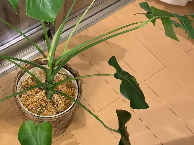 ◆千葉市発◆営業時間外も対応いたします◆女性スタッフ同行可能！サービスの画像