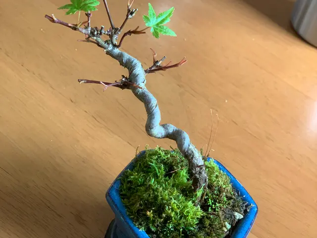 ◆千葉市発◆営業時間外も対応いたします◆女性スタッフ同行可能！サービスの画像