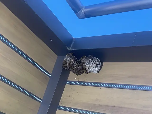 24時間対応★年中無休｜親切・丁寧◎事前打ち合わせで安心！サービスの画像