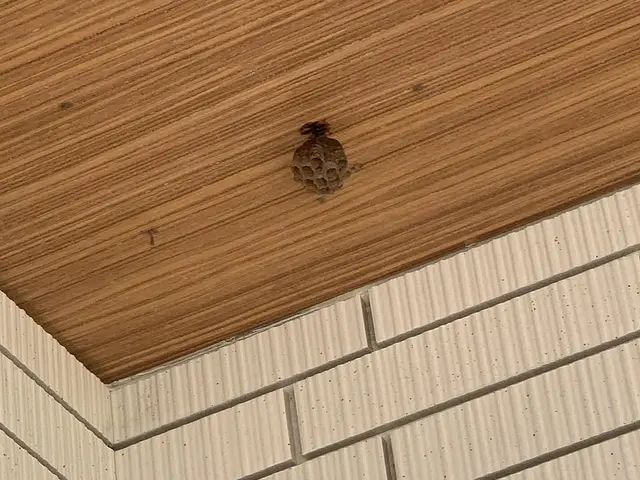 24時間対応★年中無休｜親切・丁寧◎事前打ち合わせで安心！サービスの画像