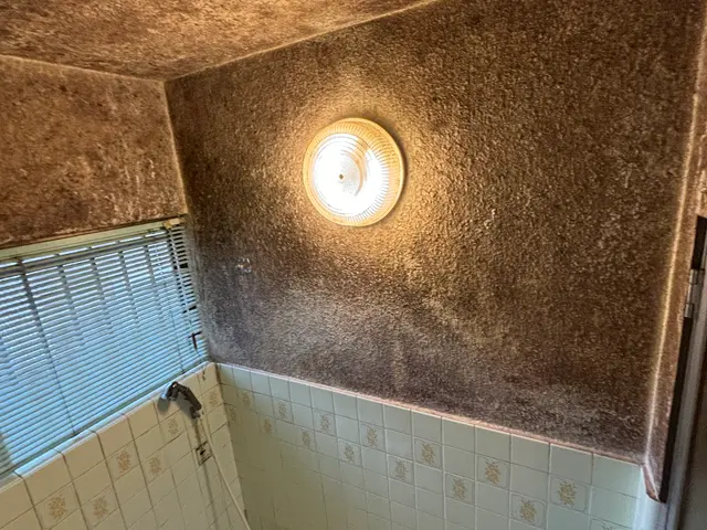 【大手業務経験あり】損害保険加入済み◎プロの技術であなたの空間を輝かせます！サービスの画像