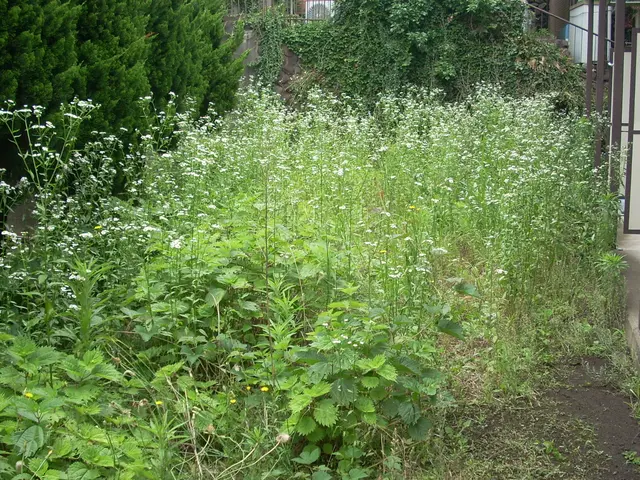 【年中無休】横浜市から伺います。対応地域外も可能◎経験豊富なスタッフが伺います。サービスの画像