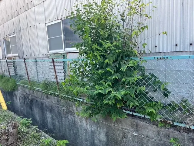 プロの技術でご満足いただけるように心を込めて作業いたしますサービスの画像