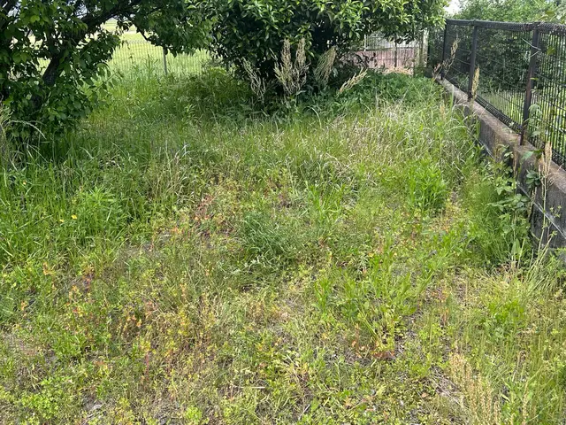 【草刈り】草刈り機！空き家、空き地の雑草でお困りの方スッキリしませんか！サービスの画像
