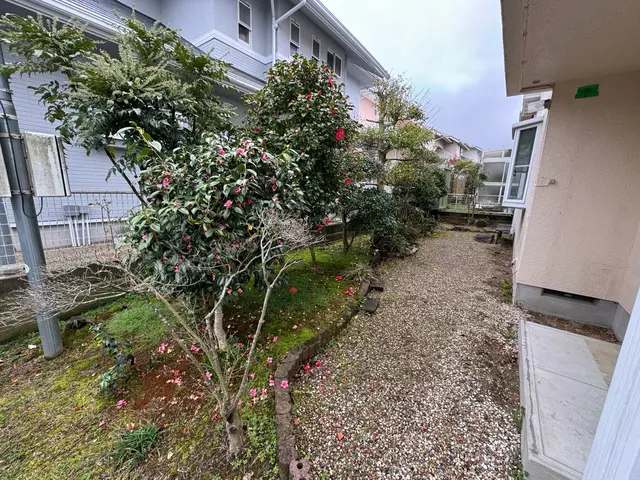 大きくなりすぎた木を切って引っこ抜きます！サービスの画像