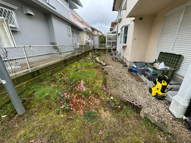 大きくなりすぎた木を切って引っこ抜きます！サービスの画像