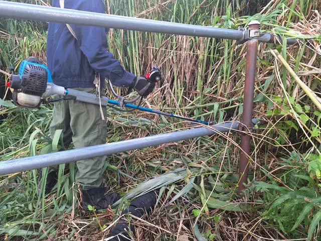 【業歴10年】◎地域密着店◎国営地など契約している当社の高品質な草刈りサービスサービスの画像