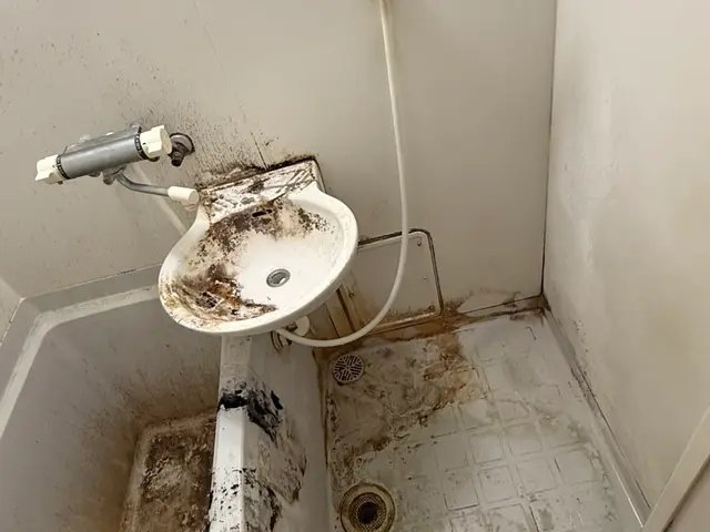 《快適な毎日を！》即日対応可能、綺麗で気持ちいいお風呂時間に☆排水口まで綺麗に！サービスの画像