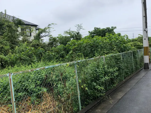 【豊富な経験と知識で安心！】安全第一の作業20m以上の木剪定もさせて頂いてます。サービスの画像