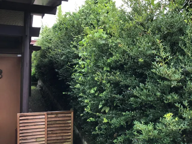 【業歴20年の実績】年中無休！迅速丁寧に仕上げます！ご要望お聞かせください！サービスの画像