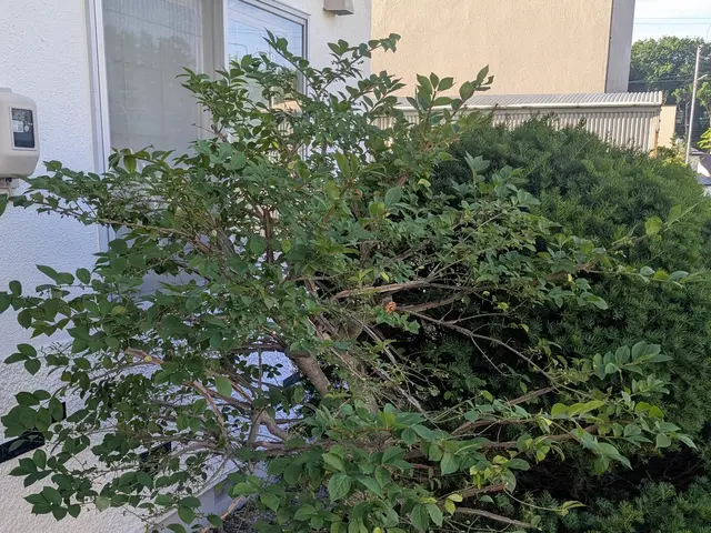 あなたの「困った」を全力で解決します！サービスの画像