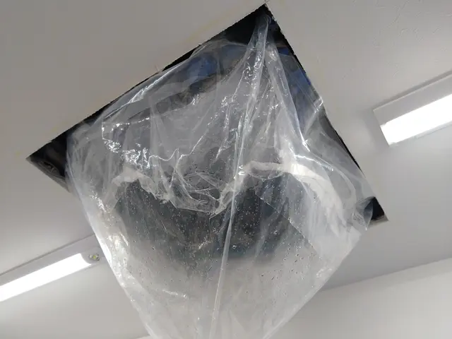 【くらマアワード受賞店】消臭コートセット\\エコ洗剤標準使用//インボイス済！サービスの画像