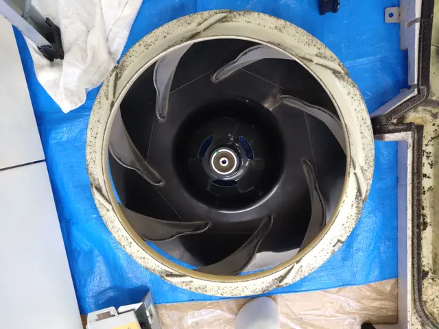 【くらマアワード受賞店】消臭コートセット\\エコ洗剤標準使用//インボイス済！サービスの画像