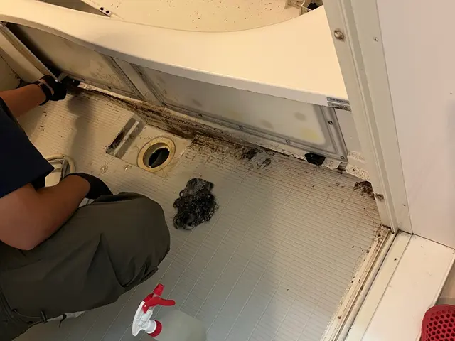 【夫婦で訪問可能◎】◆秋田県出身◆ハウスクリーニング士◆200件以上の作業実績サービスの画像