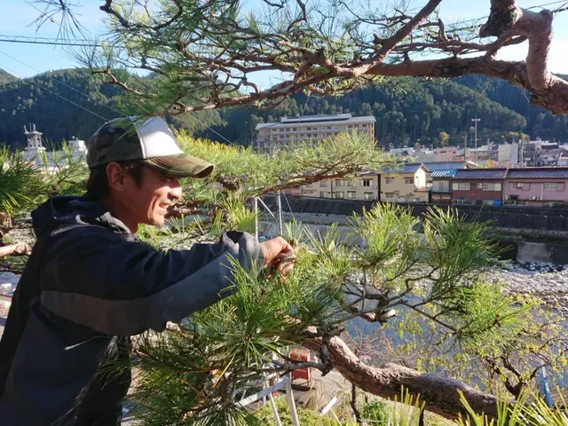 一級造園技能士の私が責任を持って作業致します。樹木本来の姿を大切に剪定します。サービスの画像