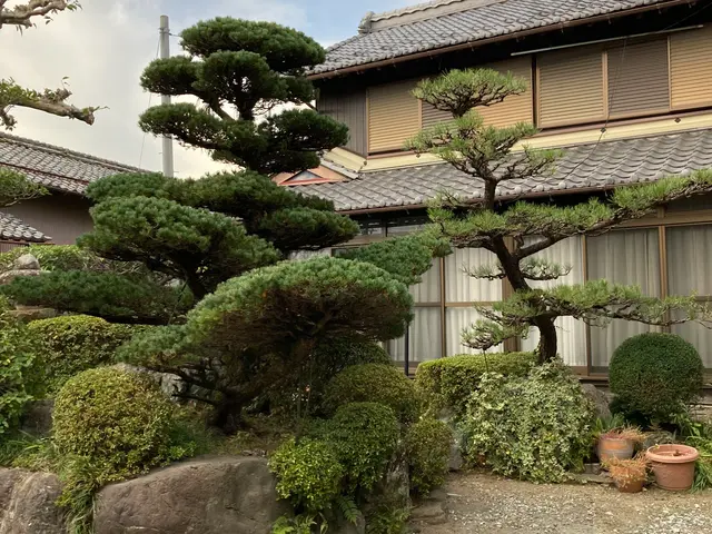 一級造園技能士の私が責任を持って作業致します。樹木本来の姿を大切に剪定します。サービスの画像