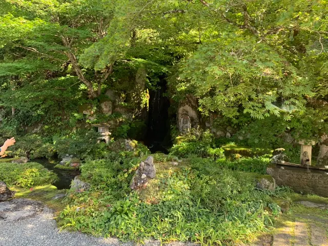 一級造園技能士の私が責任を持って作業致します。樹木本来の姿を大切に剪定します。サービスの画像