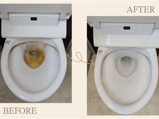 トイレクリーニングサービスサービスの画像