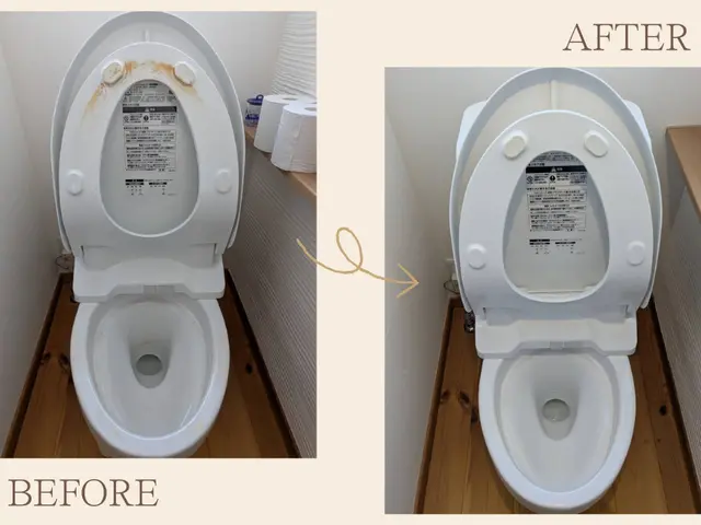 トイレクリーニングサービスサービスの画像