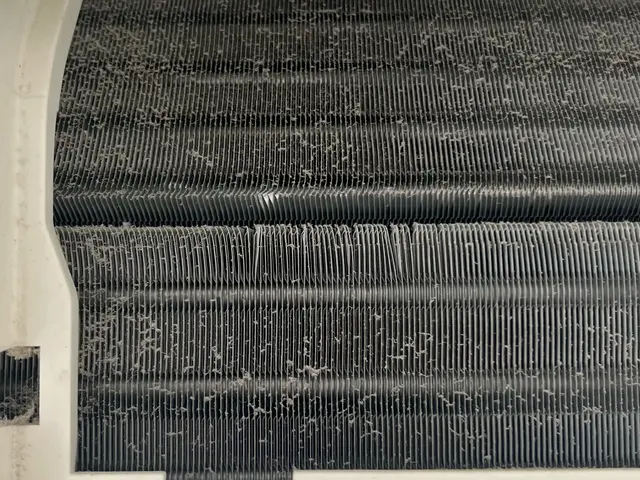 【女性2人で伺います！】年末大掃除キャンペーン開催中★☆まだ空き枠あります！サービスの画像