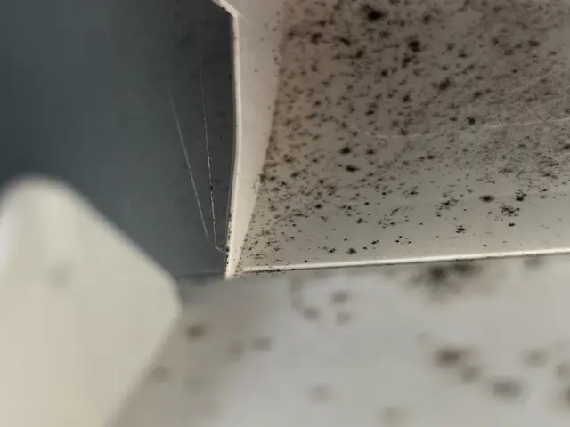 【女性2人で伺います！】年末大掃除キャンペーン開催中★☆まだ空き枠あります！サービスの画像