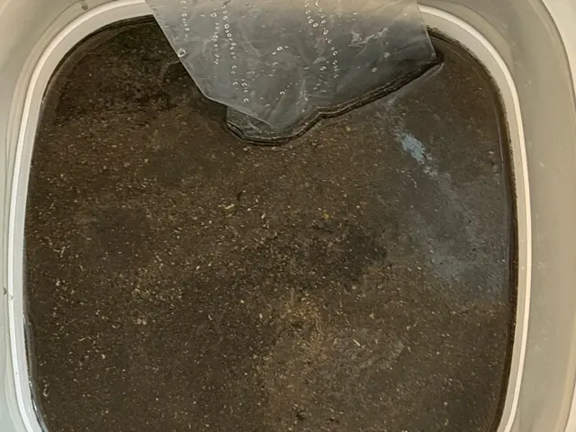 【★累計400台突破★】◎私が訪問◎丁寧な養生と作業◎柔和なコミュニケーションサービスの画像