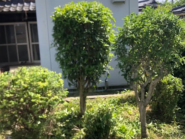 お客様のご要望をしっかり聞きご満足いただけるように心を込めて作業いたします。サービスの画像