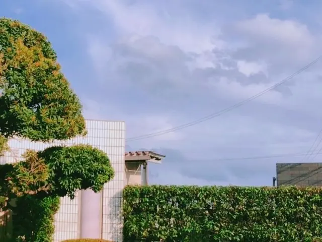 生垣をスッキリさせて、頼んでよかった！と思われるサービスをご提供します。サービスの画像