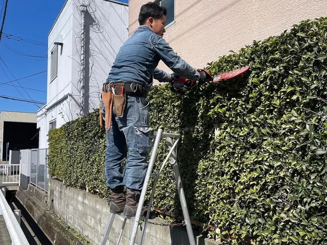 生垣をスッキリさせて、頼んでよかった！と思われるサービスをご提供します。サービスの画像