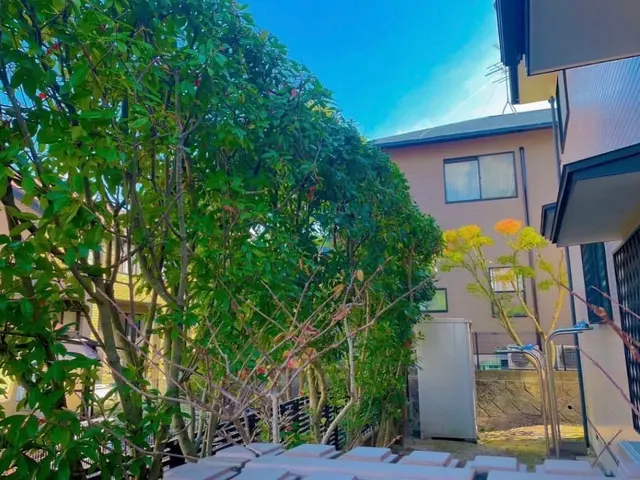 生垣をスッキリさせて、頼んでよかった！と思われるサービスをご提供します。サービスの画像