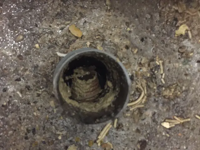 【福祉施設・飲食店など実績多数】【詰まり必ず解消します】【インボイス登録事業者】サービスの画像