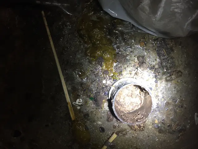 【福祉施設・飲食店など実績多数】【詰まり必ず解消します】【インボイス登録事業者】サービスの画像