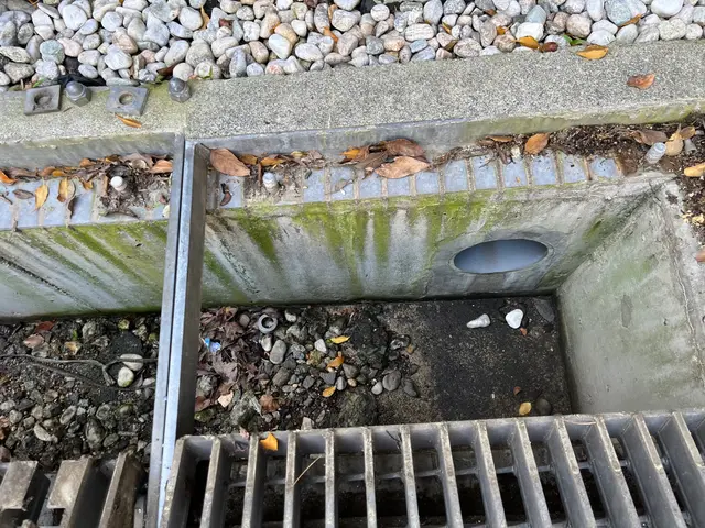 《景観/水流/臭いの改善》側溝内の落ち葉やゴミ詰まりの除去 業界20年 カード可サービスの画像