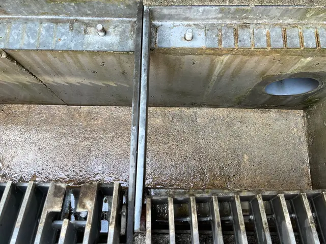 《景観/水流/臭いの改善》側溝内の落ち葉やゴミ詰まりの除去 業界20年 カード可サービスの画像