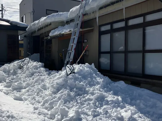 ◎屋根・カーポートの雪下ろし◎☆玄関廻り・雪庇等☆★緊急要請・早朝ご相談下さい★サービスの画像