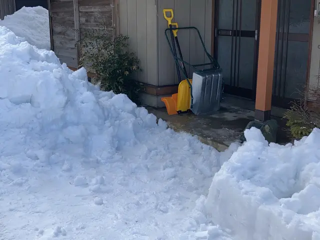 ◎屋根・カーポートの雪下ろし◎☆玄関廻り・雪庇等☆★緊急要請・早朝ご相談下さい★サービスの画像