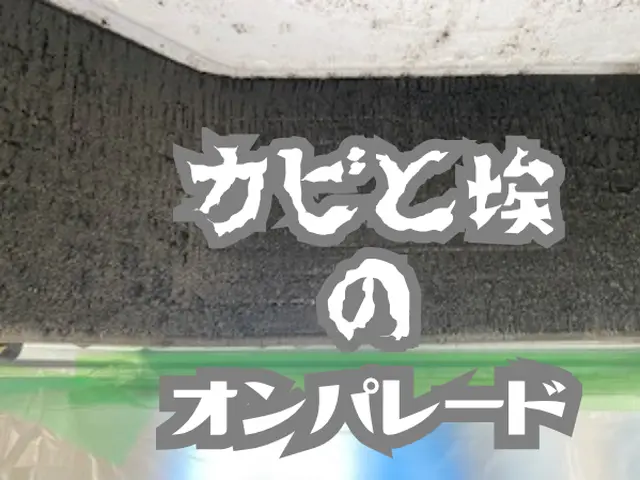 業務用エアコンクリーニング オゾンで空間滅菌 特別価格26000円～複数台割有りサービスの画像