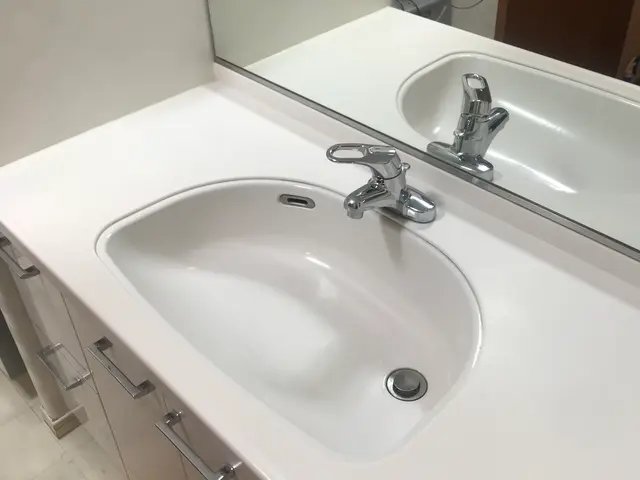 【1日1組様限定】気になる水回りの汚れを徹底的にクリーニング。その他もメニュー有サービスの画像