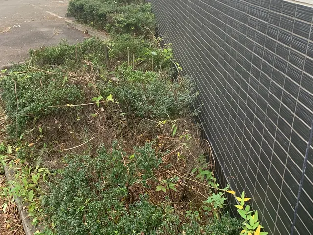 ★2025年1月開業店舗★草刈りへの誇りは、負けません。サービスの画像