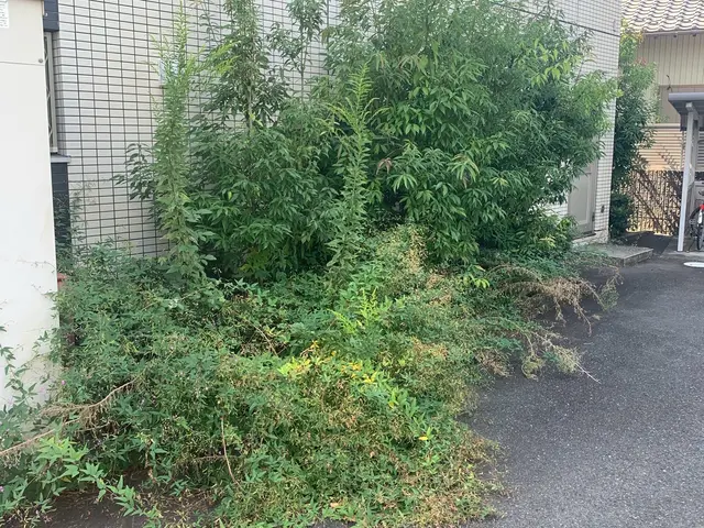 ★2025年1月開業店舗★草刈りへの誇りは、負けません。サービスの画像