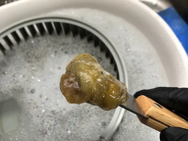 あなたのおうちの空気キレイにしませんか？２児パパが伺います♪オーガニック洗剤使用サービスの画像