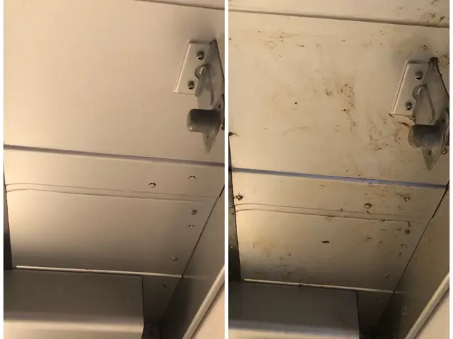 あなたのおうちの空気キレイにしませんか？２児パパが伺います♪オーガニック洗剤使用サービスの画像