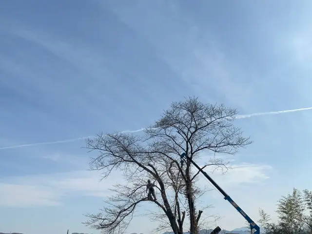 ◆特殊伐採・伐採専門◎駐車場代当店負担◎女性スタッフ同行可能サービスの画像