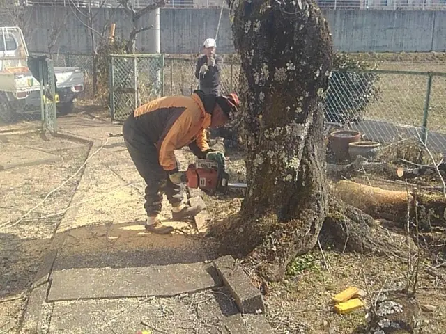 作業外注一切なし・駐車場代金は当店負担・仕上がり重視で丁寧に作業いたします！サービスの画像